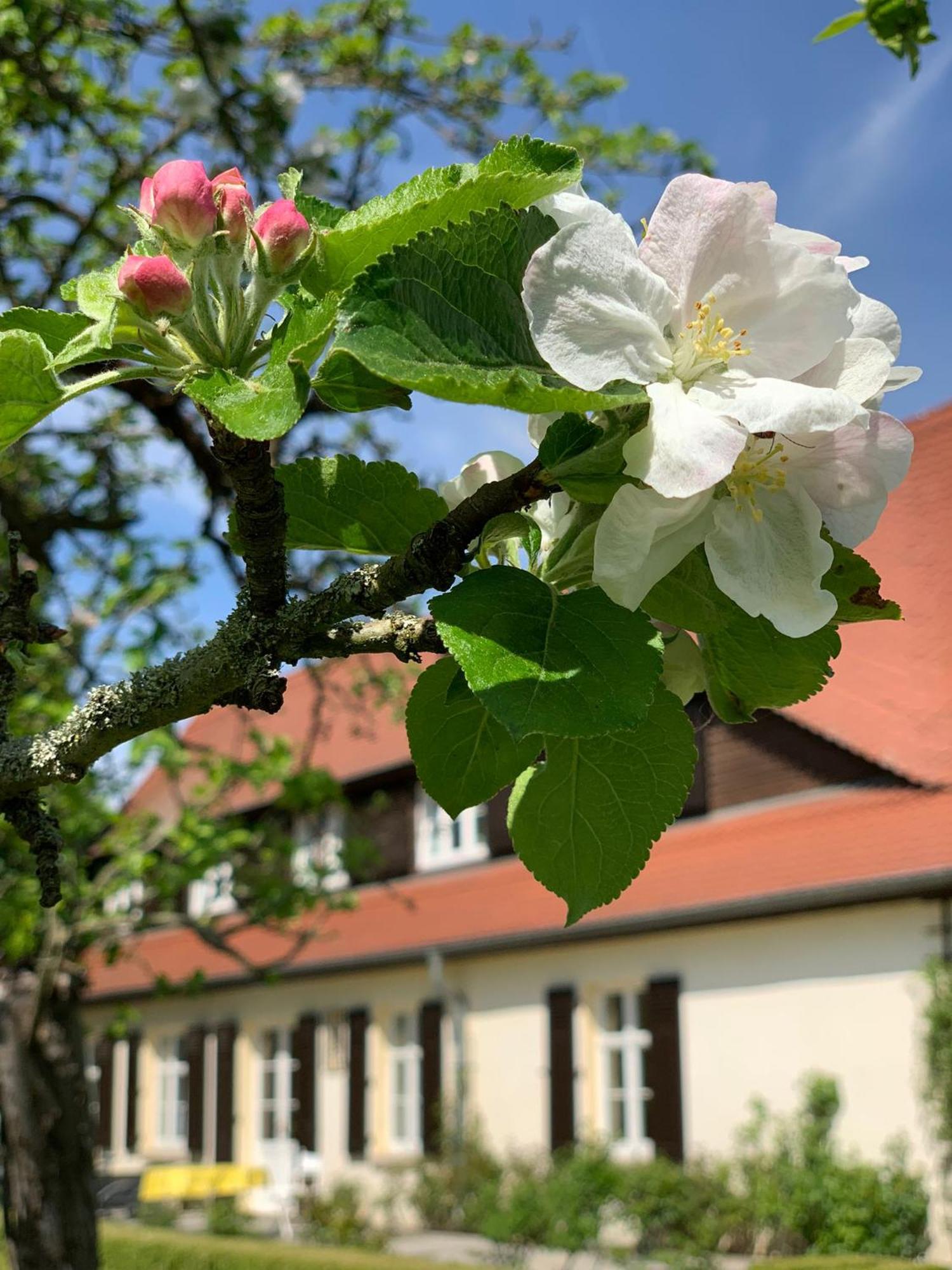 Landhaus Saaleck Naumburg  Exteriör bild