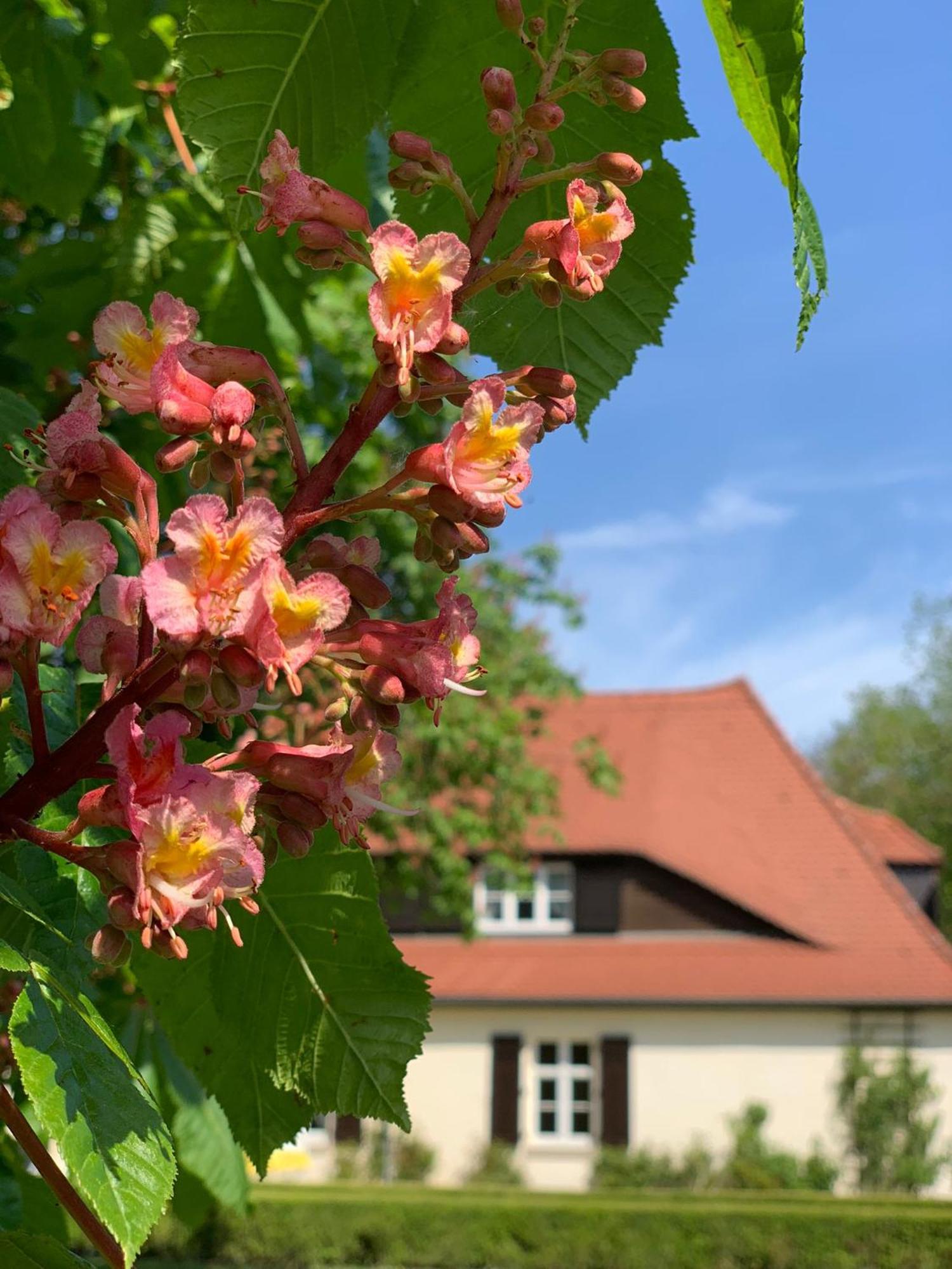 Landhaus Saaleck Naumburg  Exteriör bild